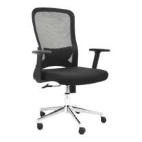 Ergonomic Mesh Chair, Chrome Base